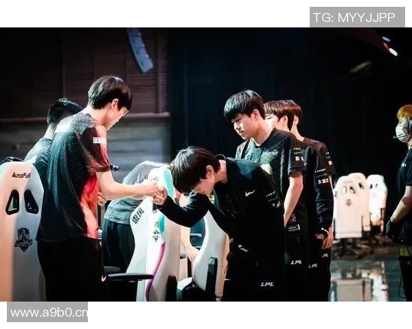 王者荣耀战队RNG的默契配合与战术分析探讨